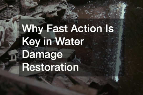 Why Fast Action Is Key in Water Damage Restoration