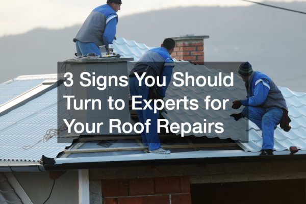 3 Signs You Should Turn to Experts for Your Roof Repairs